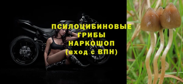 прущие грибы Алексеевка
