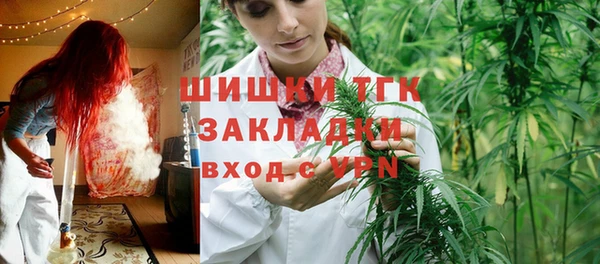 сатива Абаза