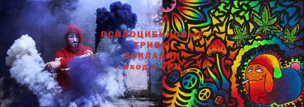 прущие грибы Алексеевка