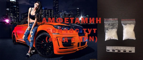 стаф Алзамай