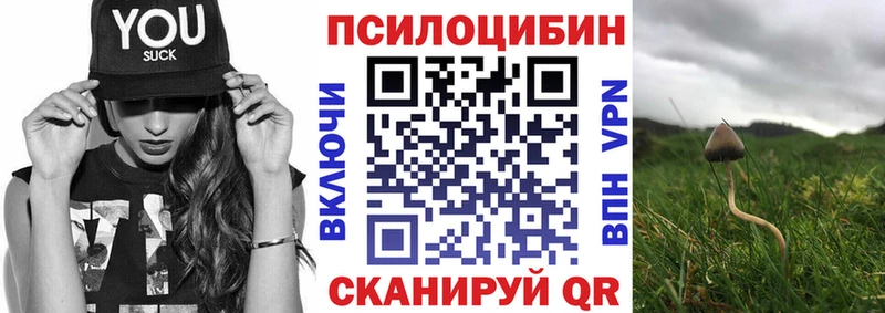 Галлюциногенные грибы Psilocybe  Фокино 